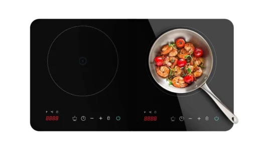 placa de inducción portátil de 2 fuegos Cecotec Full Magma Double