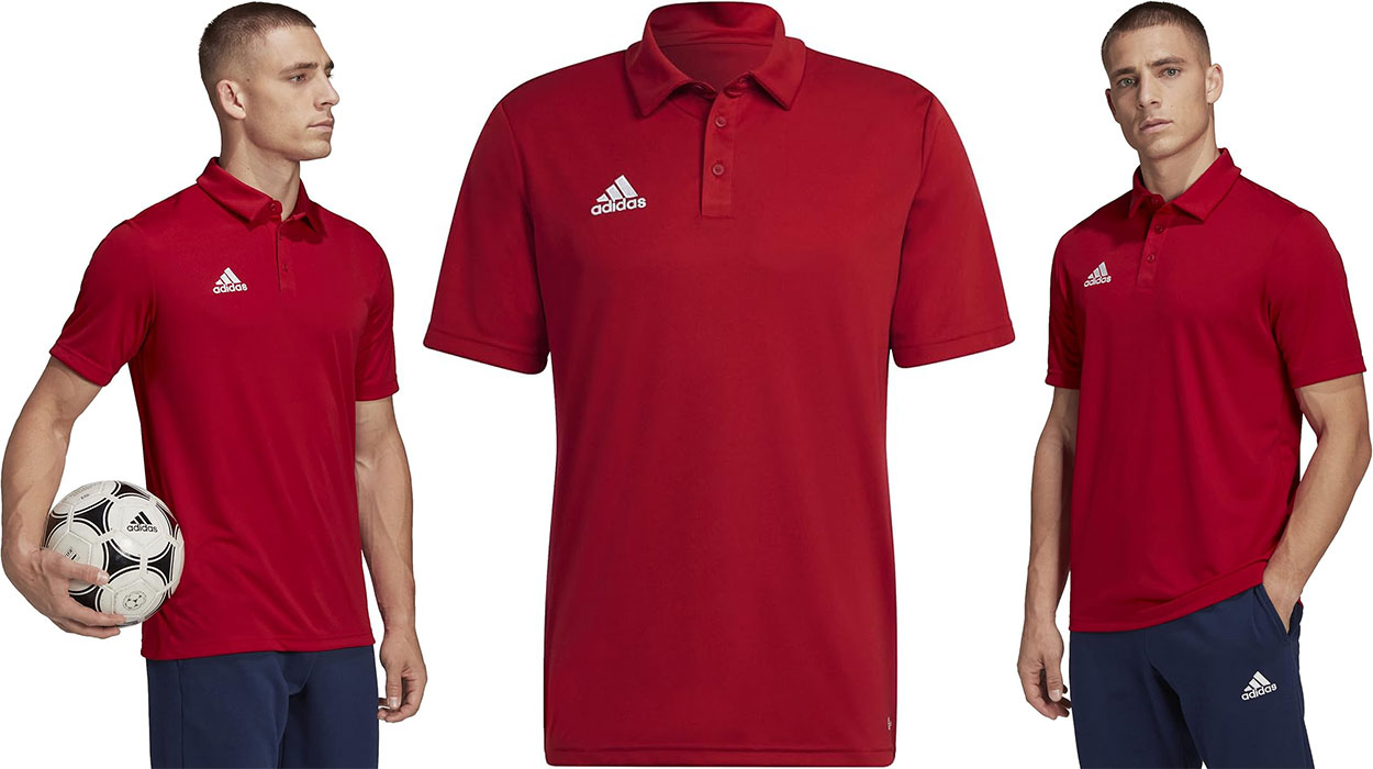 Chollo Polo Adidas Entrada 22 para hombre