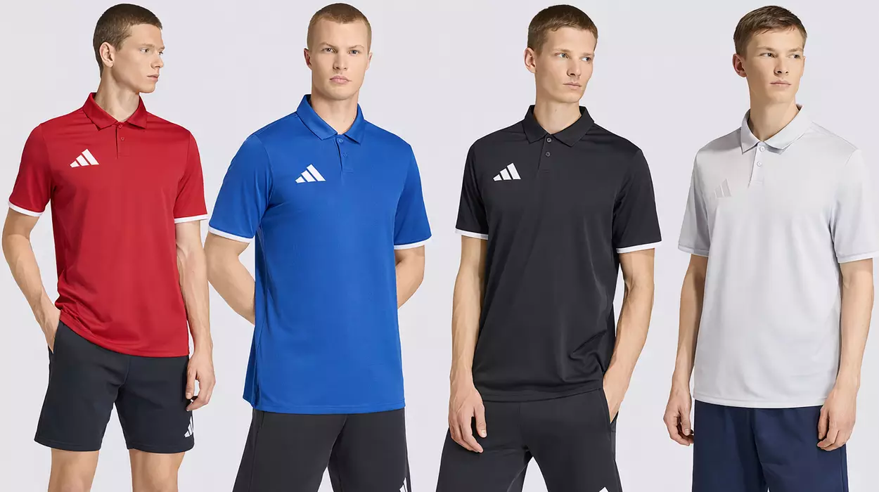 Polo Adidas Entrada 26 de manga corta para hombre al mejor precio en varios colores