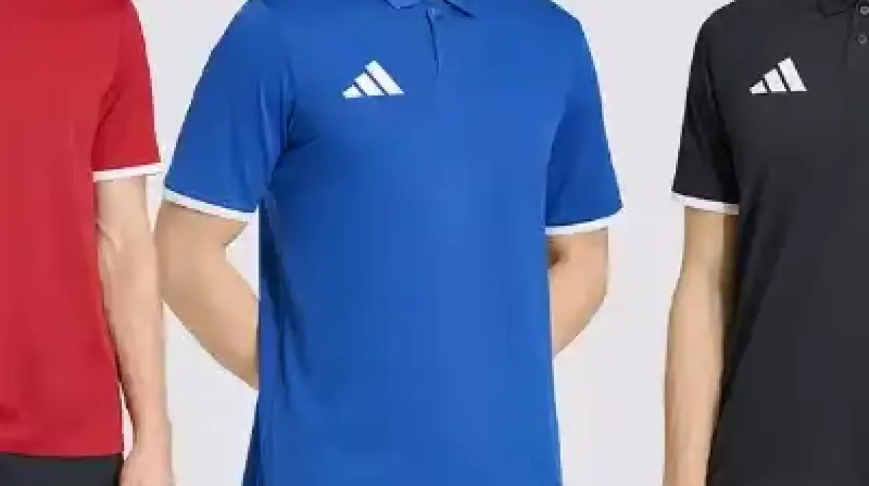 Polo Adidas Entrada 26 de manga corta para hombre al mejor precio en varios colores