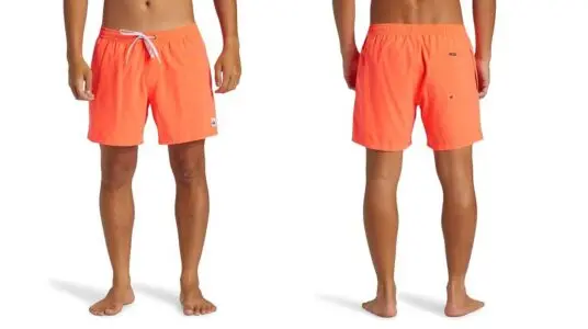 Quiksilver Everyday Solid 15 barata