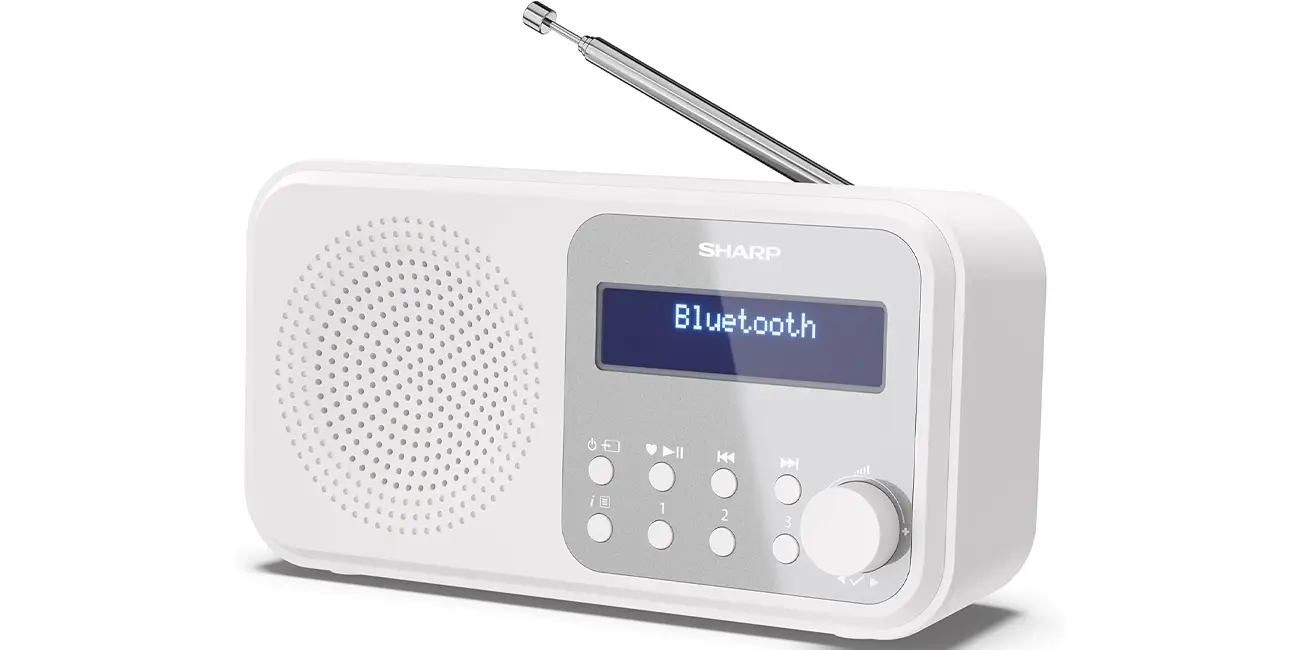 Radio digital Sharp DR-P420(PK)