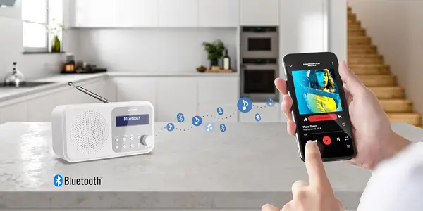 Radio digital Sharp DR-P420(PK)