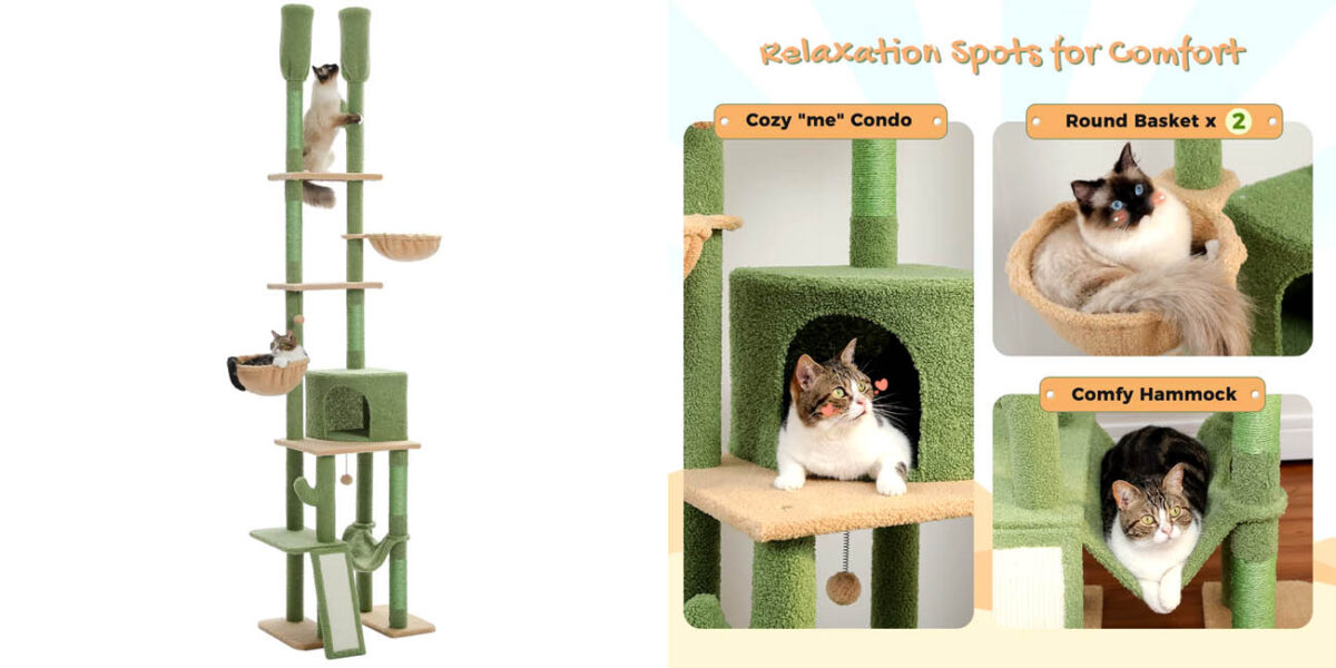 Rascador árbol para gatos de 216-285cm cm