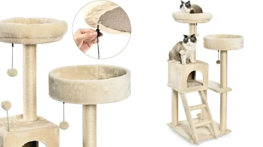 Rascador Amazon Basics para gatos