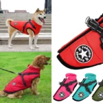 Ropa de invierno impermeable para perros