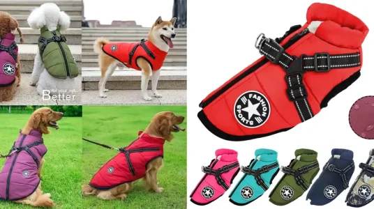 Ropa de invierno impermeable para perros