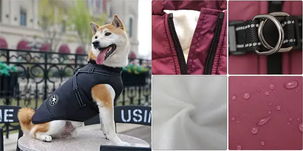 Ropa de invierno impermeable para perros
