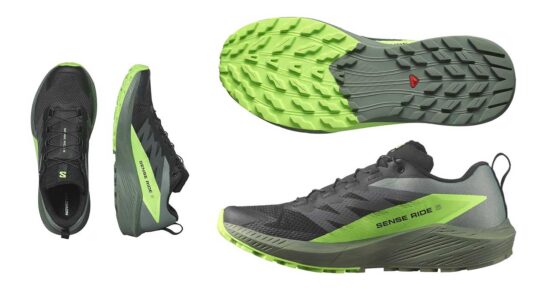 Salomon Sense Ride 5 baratas