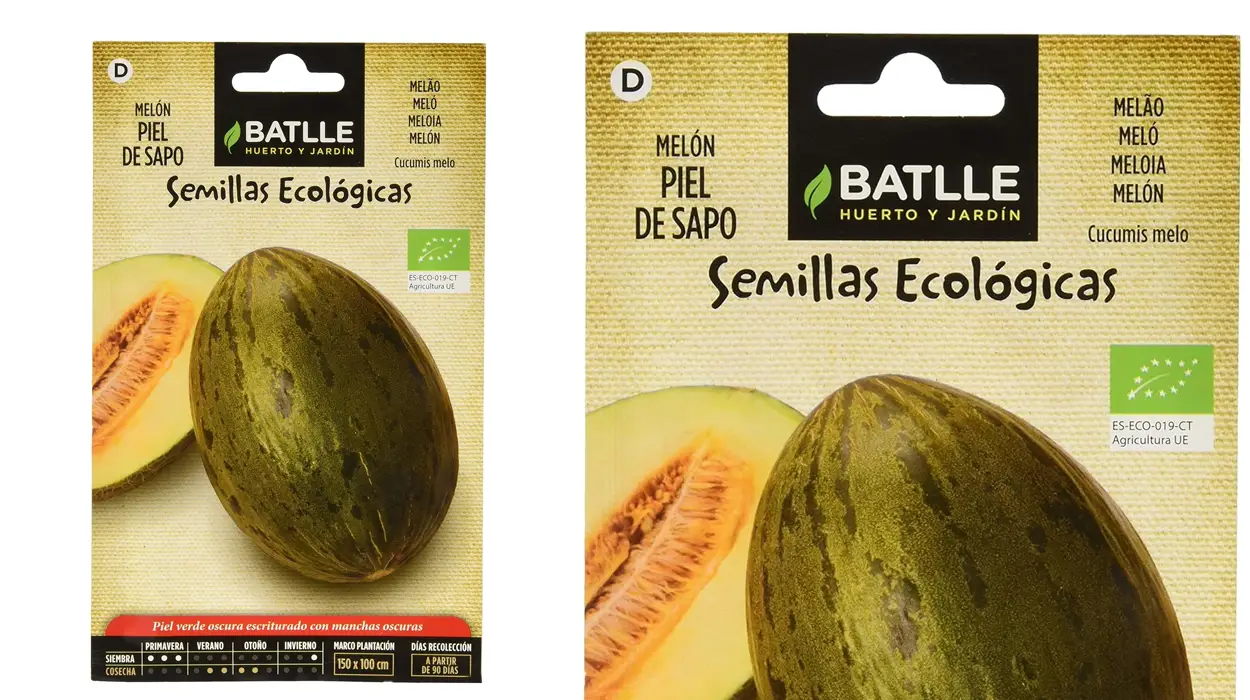 semillas ecológicas Batlle de melón Piel de Sapo