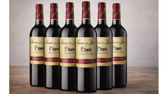 Señorío de los Llanos Crianza Vino Tinto D.O Valdepeñas - Caja de 6 Botellas x 750 ml