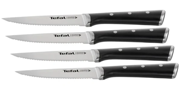 Cuchillos de carne Tefal Ice Force