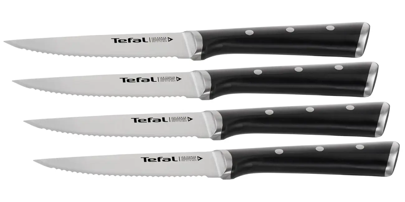 Cuchillos de carne Tefal Ice Force