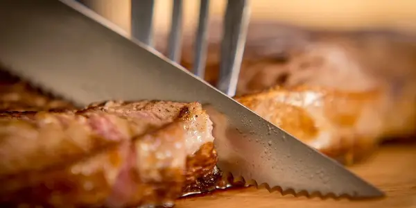 Cuchillos de carne Tefal Ice Force