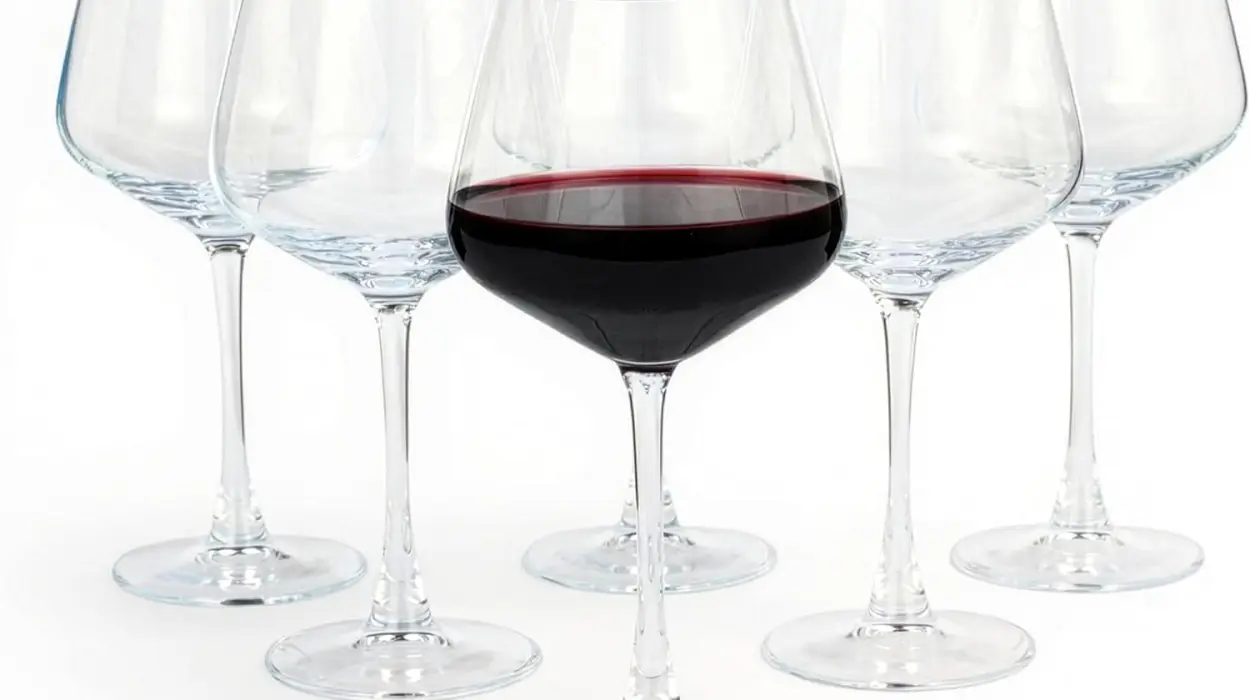 Juego de 6 copas de vino tinto resistentes Amazon Basics de 568 ml aptas para lavavajillas