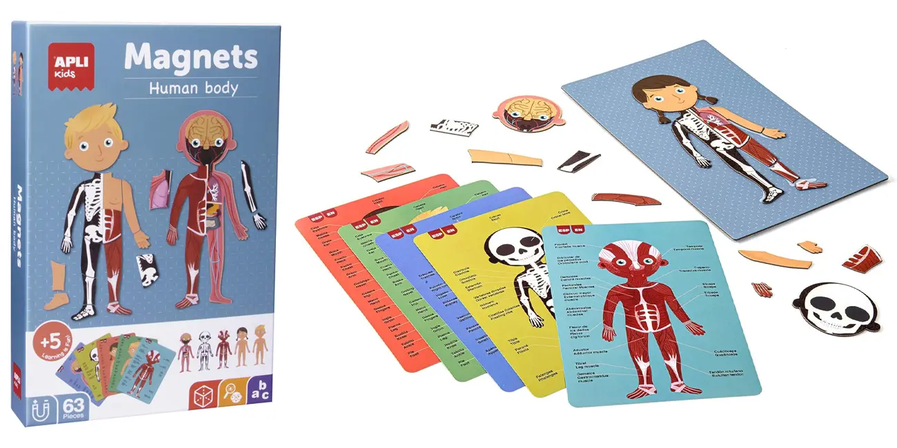 Set de imanes Apli Kids Cuerpo humano