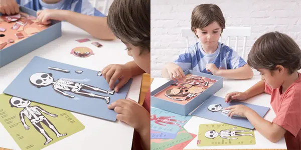 Set de imanes Apli Kids Cuerpo humano