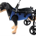Silla de ruedas para mascotas