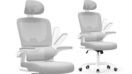 Silla de oficina giratoria y ergonómica Naspaluro