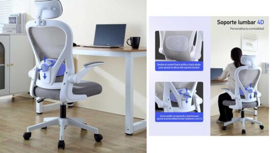 Silla de oficina ergonómica Sonsinya barata