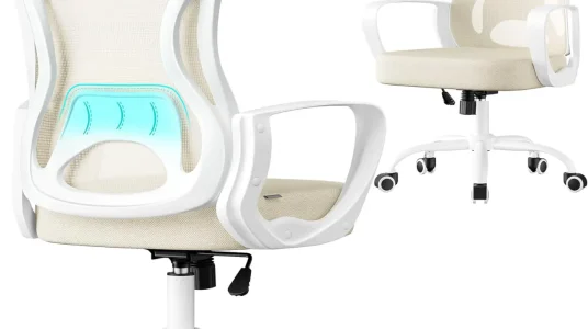 Silla de oficina ergonómica Songmics con soporte lumbar y reposabrazos