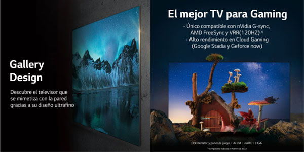 Smart TV LG OLED evo Gallery Edition UHD 4K de 55" barata