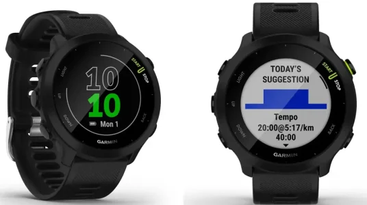 Smarwatch Garmin Forerunner 55 GPS