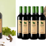 solaz Tempranillo BIO vino chollo