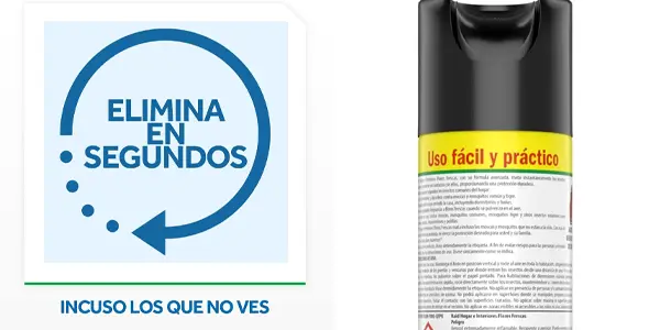 Spray insecticida Raid Hogar e Interiores