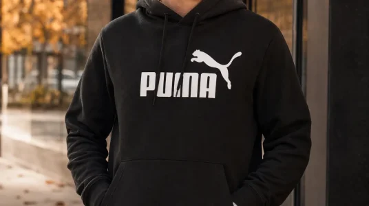 Sudadera con capucha Puma ESS No. 1 Logo Hoodie FL para hombre