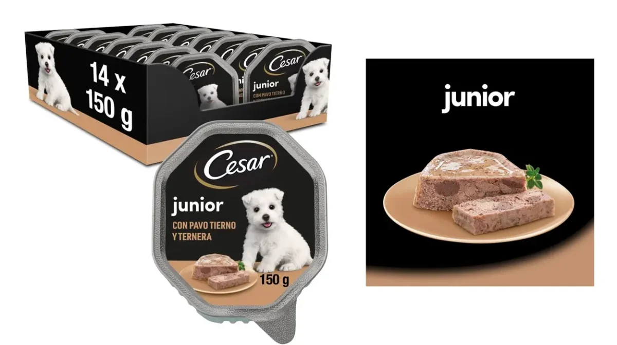 Pack de 14 tarrinas de comida húmeda Cesar para perros cachorros