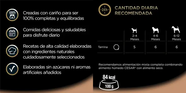 tarrinas de comida húmeda Cesar cachorros oferta