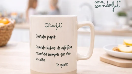 taza mr. wonderful querido papá