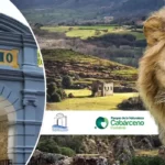 Traventia Cabarceno hotel con piscina interior