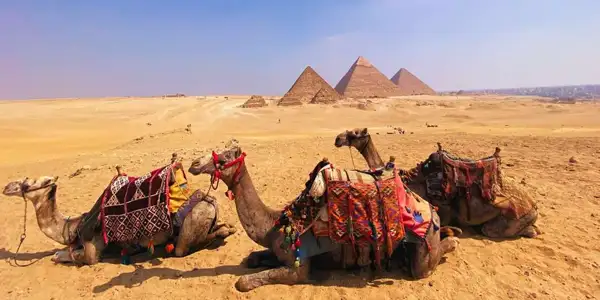 traventia vacaciones egipto 2025 oferta