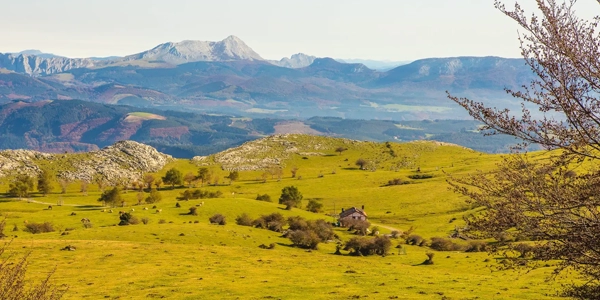 viaje al Hotel Balneario Areatza 3 oferta