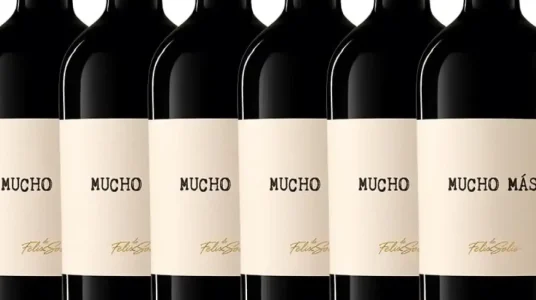 Chollo vino tinto mucho mas tempranillo-shiraz