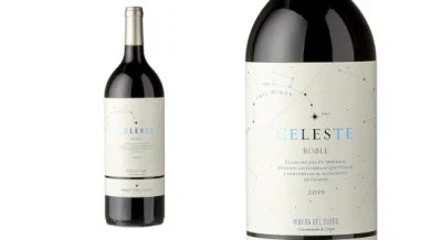 vino-tinto-pago-del-cielo-celeste-roble-de-15l