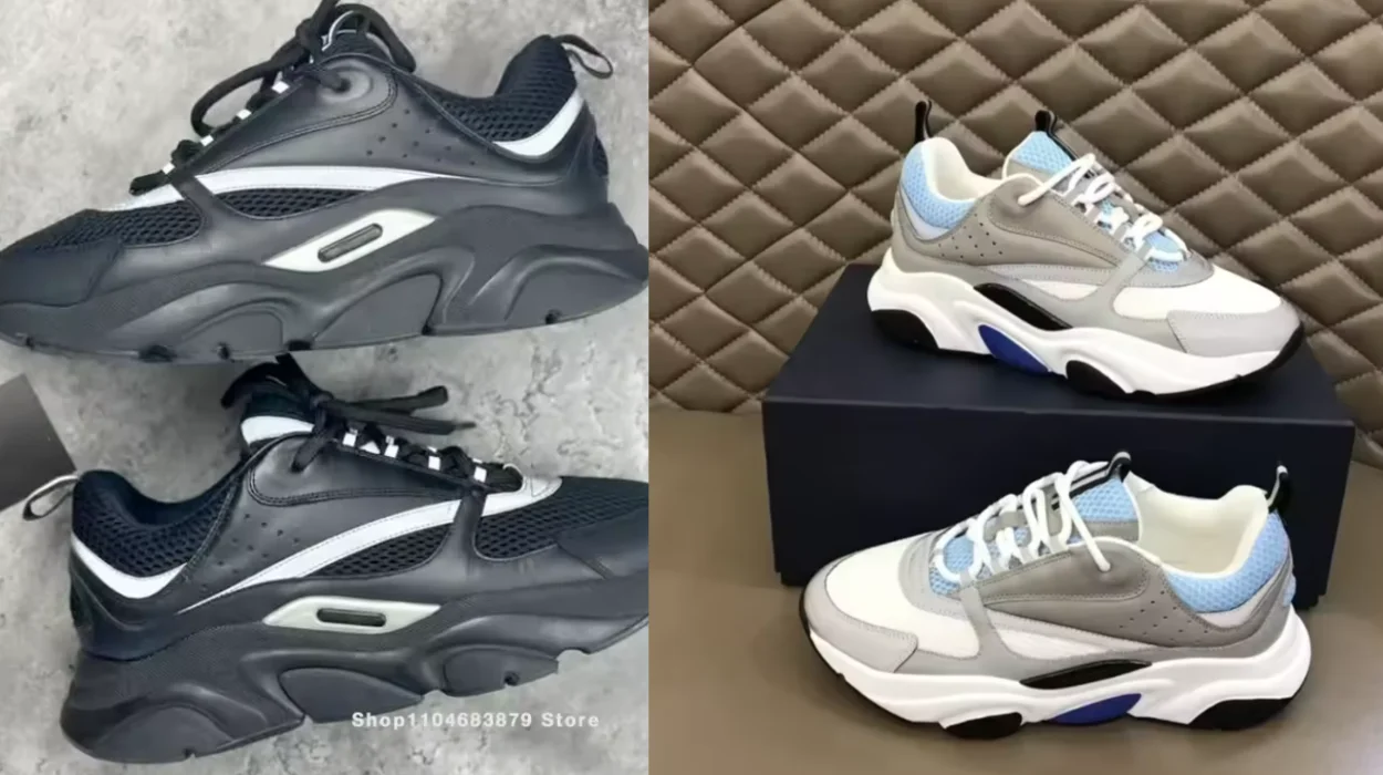 zapatillas B22 tipo DIOR