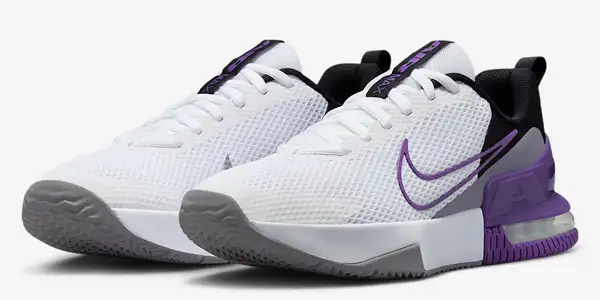 zapatillas Nike Air Max Alpha Trainer 6 oferta