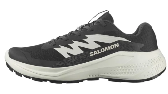 zapatillas Salomon Alphaglide baratas