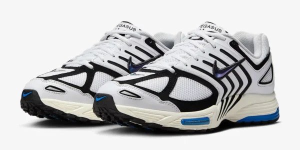 Zapatillas NIKE Air Pegasus 2005