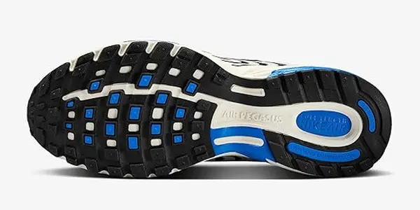 Zapatillas NIKE Air Pegasus 2005